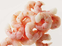 Prawns